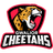 Gwalior Cheetahs-logo